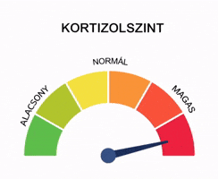 Naomisanimations GIF