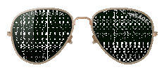 Sunglass Oculosdesol Sticker by Visage Moda Optica