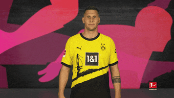 Borussia Dortmund Yes GIF by Bundesliga