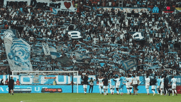Fan GIF by Olympique de Marseille