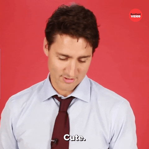 Justin Trudeau Canada GIF by BuzzFeed