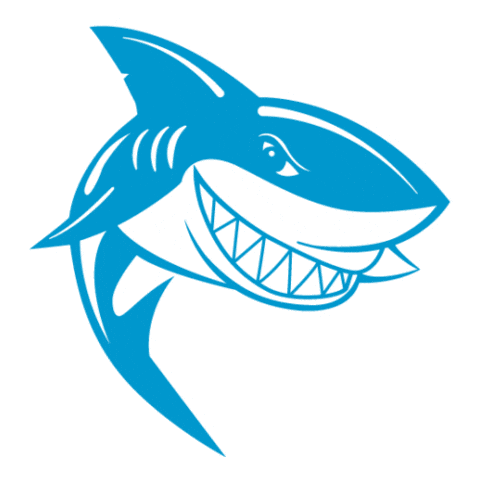 Shark Learn To Swim Sticker by Buzz Franchise Brands