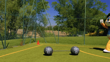 Sport Olympics GIF by 44 Cats
