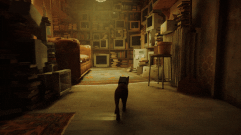 Cat Game GIF by Annapurna Interactive - Find & Share on GIPHY