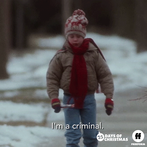 Home Alone Christmas GIF by Freeform