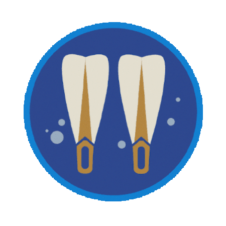Scuba Diving Sticker by Skallywag Media