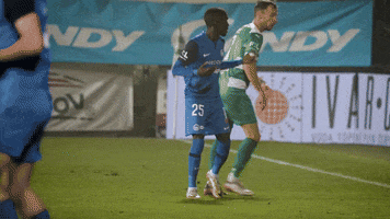 Co What GIF by FC Slovan Liberec