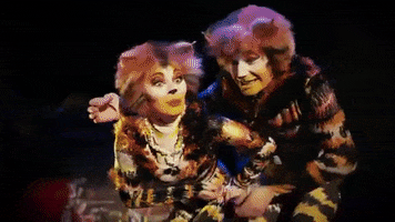 Cats Oops GIF by Musical Vienna