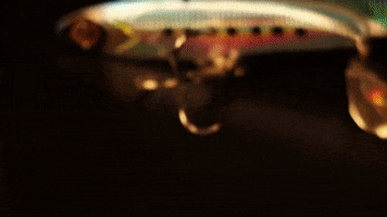 Fishing Assist GIF by Amiaud