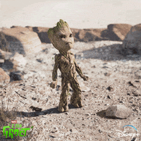 I Am Groot No GIF by Disney+