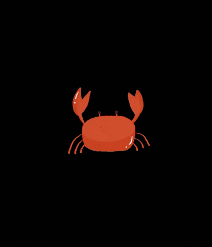 nadyacaka beach animal sea crab GIF