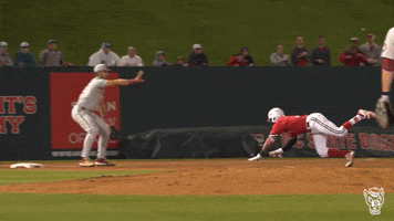 nc state pack9 GIF by NC State Athletics