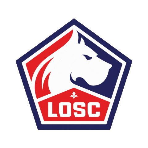 Ligue 1 Football Sticker by LOSC