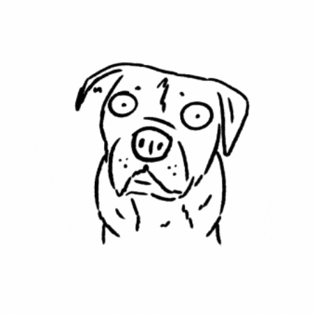 Dog Omg GIF by butpoorlydrawn