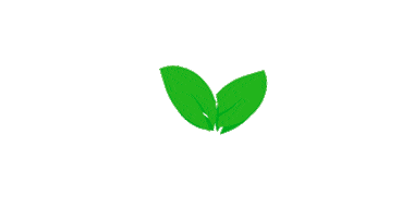 Polpusa Sticker