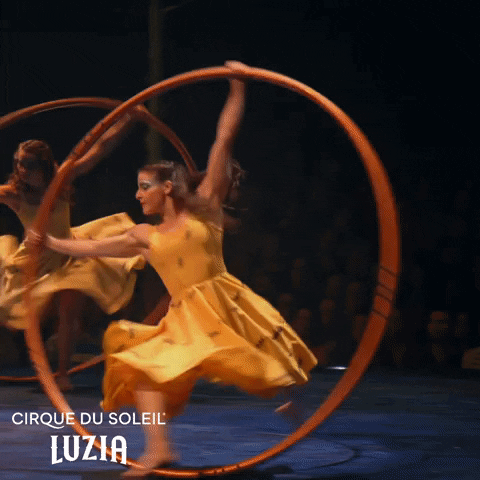 Spin Spinning GIF by Cirque du Soleil