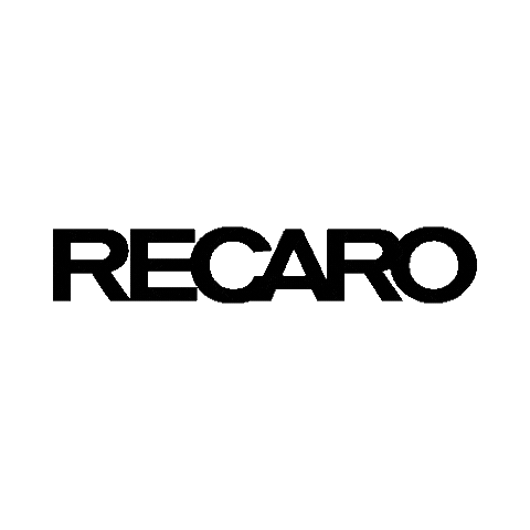 recarokidskr Sticker