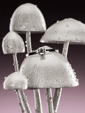 Art Direction Mushroom GIF by G VNCT
