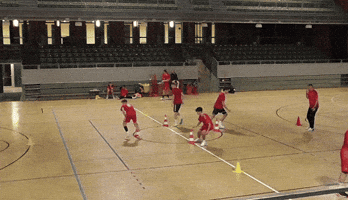 Handball GIF