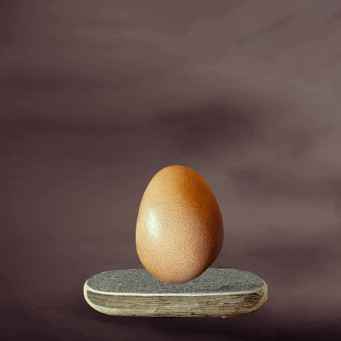 Chicken-v-egg GIFs - Get the best GIF on GIPHY Chicken-v-egg GIFs - Get the best GIF on GIPHY
