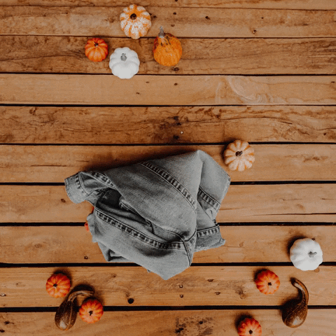 Southern Fried Chics GIF