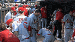 st. louis cardinals baseball GIF by MLB