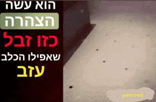 He Made GIF