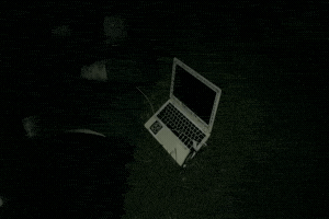 Video Musica GIF