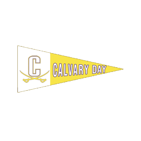 Flag Football Ghsa Sticker by GPB Sports