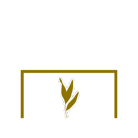 Olive Leaf Staging Sticker