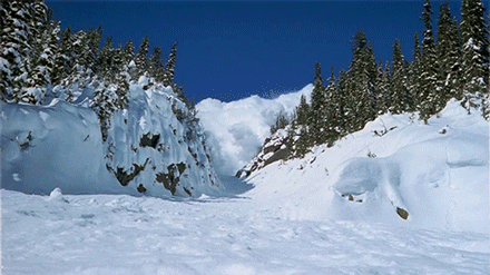 Avalanche GIFs - Get the best GIF on GIPHY