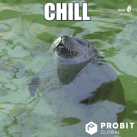 Meme Reaction GIF by ProBit Global