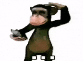 Confused Monkey I Dont Understand GIF