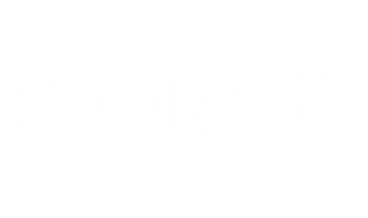 Fashion Logo Sticker by Diordie