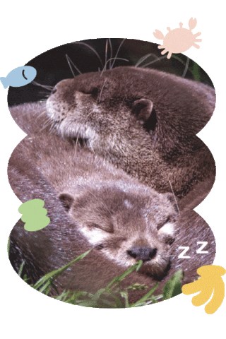 Sleepy Sticker