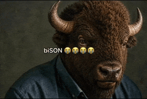 America Son GIF