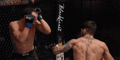 Ufc GIF