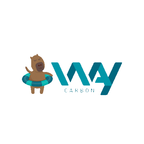 Way Carbon Sticker