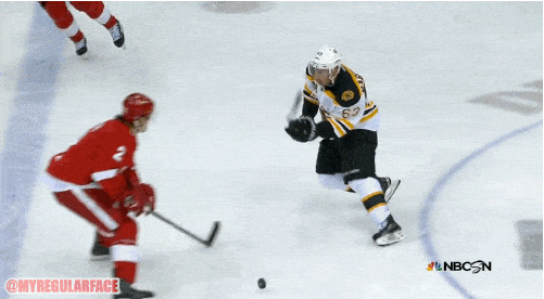 boston bruins