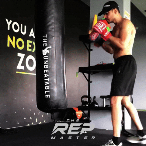 Boxing Ramesh GIF by The Rep Master