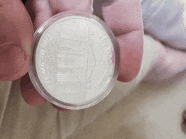 Fake Silver Coin GIF