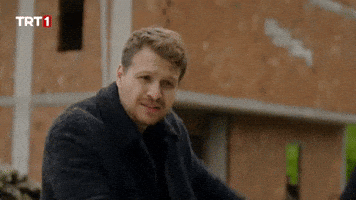 Car Drive GIF by TRT