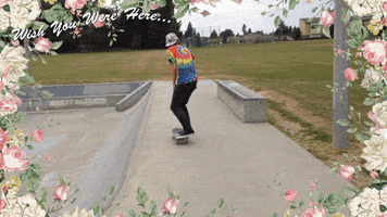 skateboarding jonny GIF