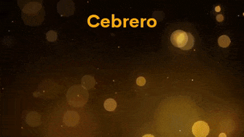 Cebrero GIF by Workplete