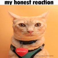 Stare Staring GIF