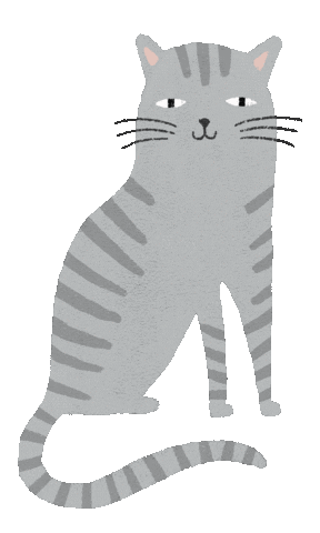 Cat Sticker