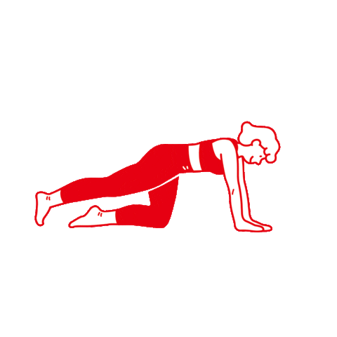 WHY PILATES Sticker