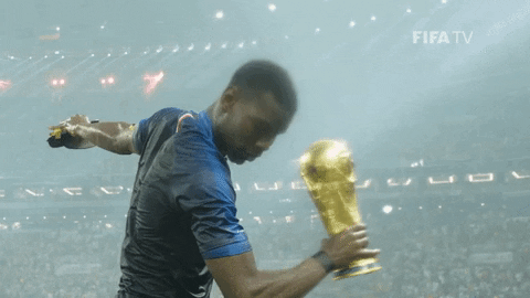 France Success GIF by FIFA - Find & Share on GIPHY