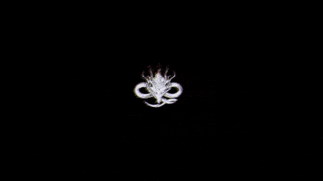 Wuthering Waves GIF