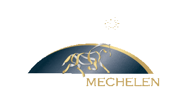 Fireworks Fei Sticker by Jumping Mechelen